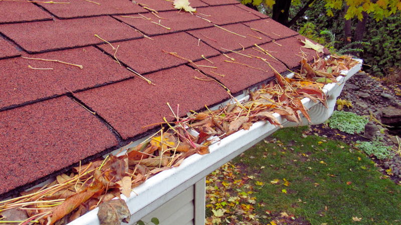 home maintenance